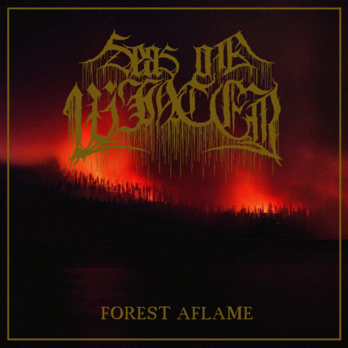 Forest Aflame